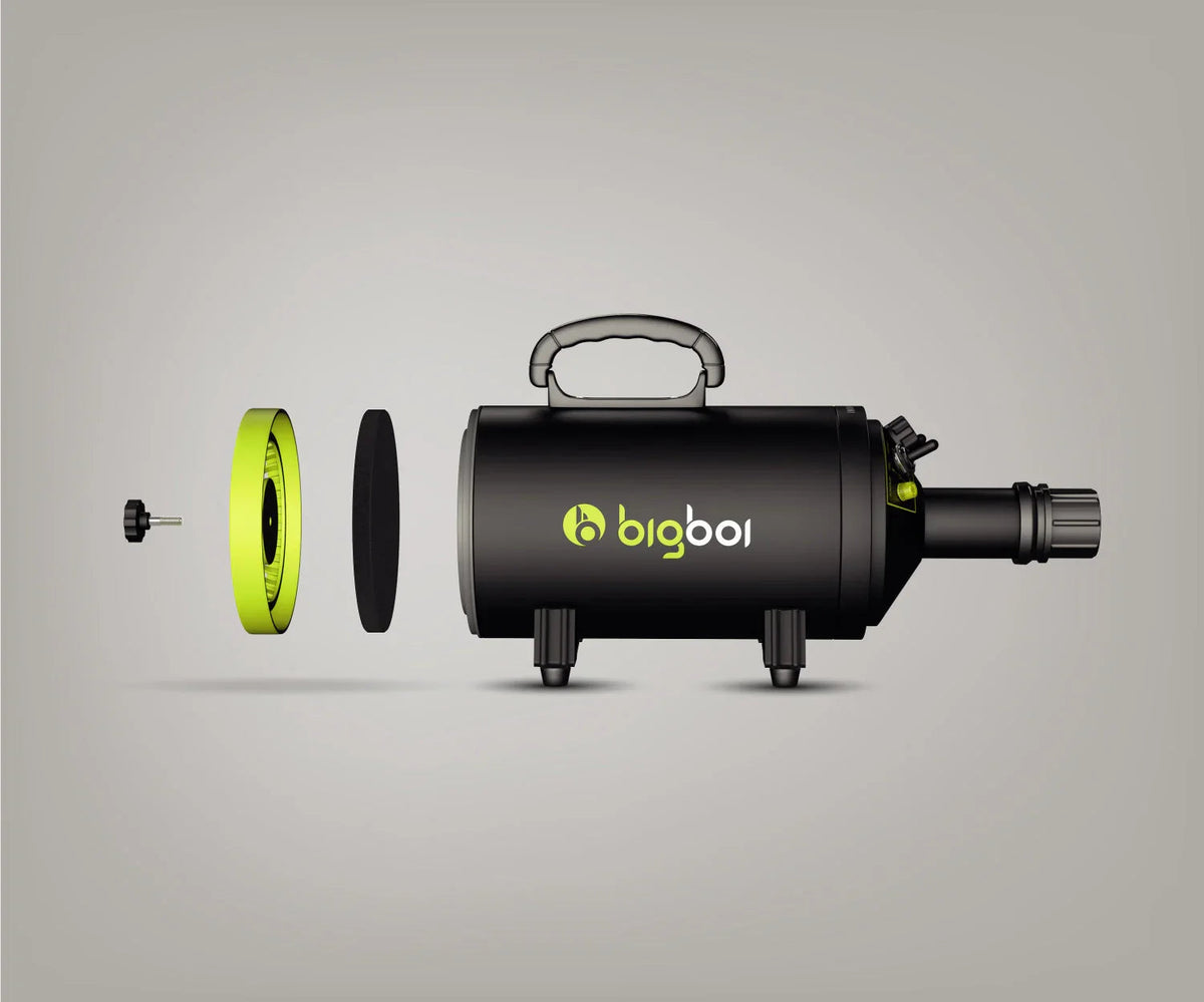 Bigboi BlowR MINI Car Dryer