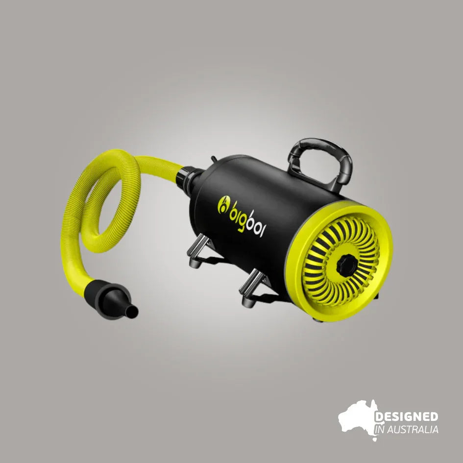 Bigboi BlowR MINI Car Dryer