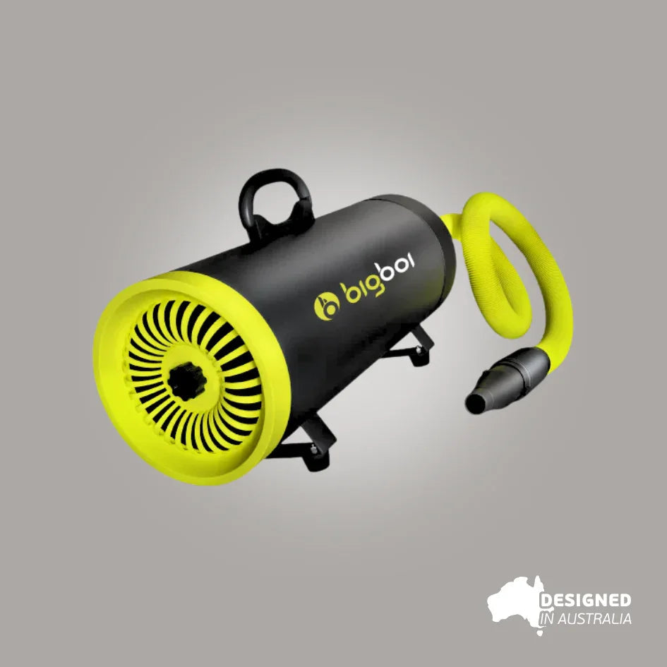 Bigboi BlowR MINI+ Car Dryer
