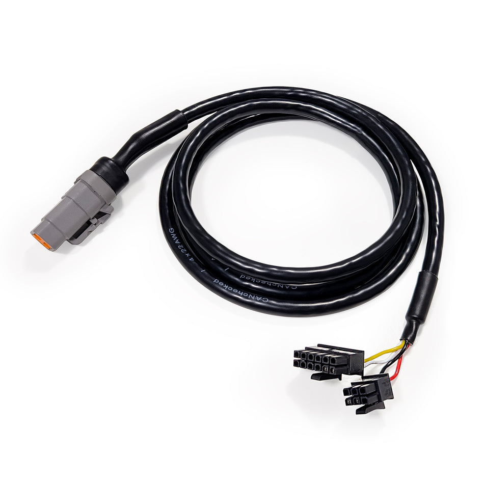 CANchecked Connection Cable MFD15 Gen2 to DTM 1.2m
