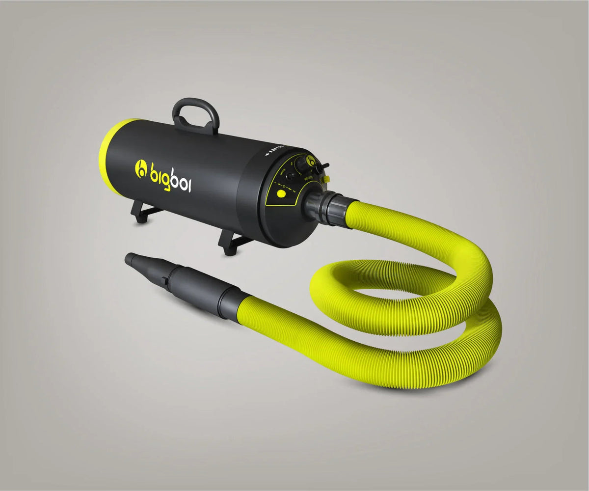 Bigboi BlowR MINI+ Car Dryer