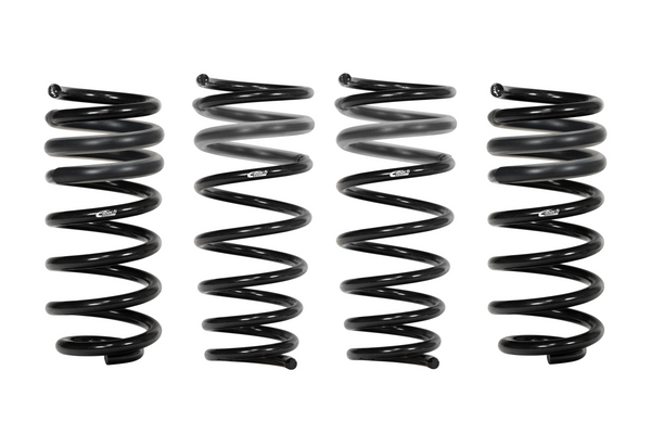 Eibach Suspension Pro Kit - Chrysler 300C V6