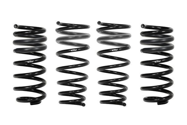 Eibach Suspension Pro Kit - Chrysler 300C V6